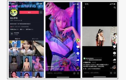 爆料视频大全集,揭秘幕后真相，还原事件全貌