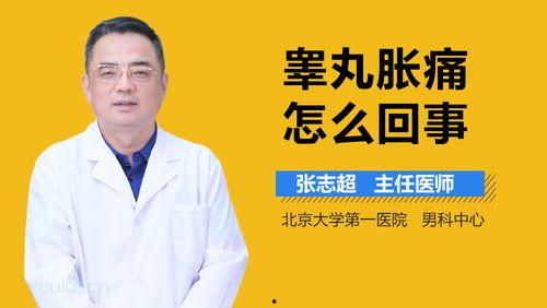 怎么吃老公的睾丸,科学解析睾丸营养与保健